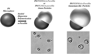 Graphical abstract: Preparation of “hard-soft” Janus polymeric particles via seeded dispersion polymerization in the presence of n-paraffin droplets