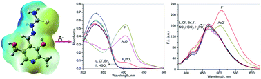 Graphical abstract: Pyridoxal-thiosemicarbazide: its anion sensing ability and application in living cells imaging