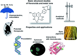 Graphical abstract: Properties and applications of flavonoid metal complexes