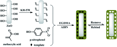 Graphical abstract: A novel molecularly imprinted polymer thin film at surface of ZnO nanorods for selective fluorescence detection of para-nitrophenol