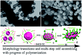 Graphical abstract: A unique fabrication strategy of hierarchical morphologies: combination of multi-step self-assembling and morphology transition