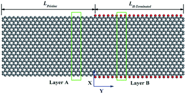 Graphical abstract: Thermal conductivity and thermal rectification in H-terminated graphene nanoribbons