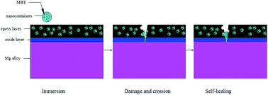 Graphical abstract: Application of ordered mesoporous silica nanocontainers in an anticorrosive epoxy coating on a magnesium alloy surface