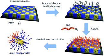 Graphical abstract: Polymeric Janus nanoparticles templated by block copolymer thin films