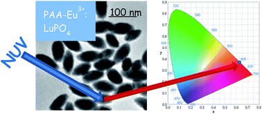 Graphical abstract: Quick synthesis, functionalization and properties of uniform, luminescent LuPO4-based nanoparticles