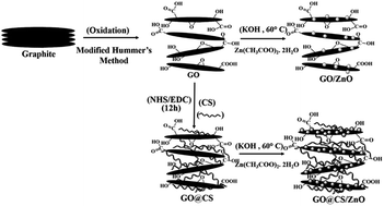 Graphical abstract: A ZnO decorated chitosan–graphene oxide nanocomposite shows significantly enhanced antimicrobial activity with ROS generation