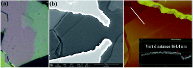 Graphical abstract: Multi-layered MoS2 phototransistors as high performance photovoltaic cells and self-powered photodetectors