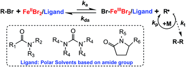 Graphical abstract: Amide group-containing polar solvents as ligands for iron-catalyzed atom transfer radical polymerization of methyl methacrylate