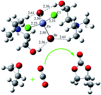 Graphical abstract: Mechanism of fixation of CO2 with an epoxide catalyzed by ZnBr2 and a choline chloride co-catalyst: a DFT study