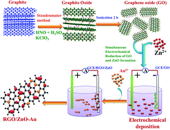 Graphical abstract: An electrochemical synthesis strategy for composite based ZnO microspheres–Au nanoparticles on reduced graphene oxide for the sensitive detection of hydrazine in water samples