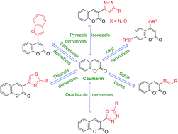 Graphical abstract: Coumarins as privileged scaffold for anti-inflammatory drug development