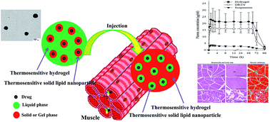 Graphical abstract: Development of a novel solid lipid nanoparticles-loaded dual-reverse thermosensitive nanomicelle for intramuscular administration with sustained release and reduced toxicity