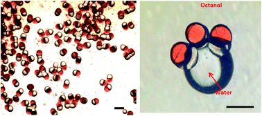 Graphical abstract: A region-selective modified capillary microfluidic device for fabricating water–oil Janus droplets and hydrophilic–hydrophobic anisotropic microparticles