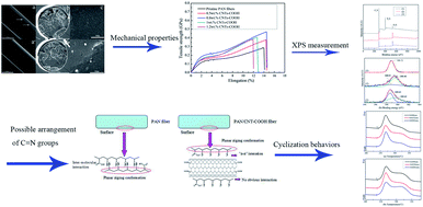 Graphical abstract: The plasticized spinning and cyclization behaviors of functionalized carbon nanotube/polyacrylonitrile fibers