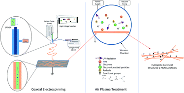 Graphical abstract: Coaxial electrospun poly(lactic acid)/silk fibroin nanofibers incorporated with nerve growth factor support the differentiation of neuronal stem cells