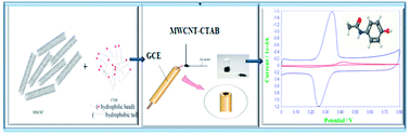 Graphical abstract: MWCNT–CTAB modified glassy carbon electrode as a sensor for the determination of paracetamol