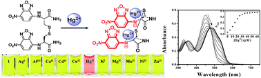 Graphical abstract: Highly selective colorimetric and fluorescent detection for Hg2+ in aqueous solutions using a dipeptide-based chemosensor