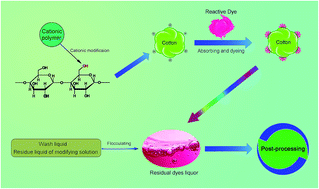 Graphical abstract: Eco-friendly cationic modification of cotton fabrics for improving utilization of reactive dyes