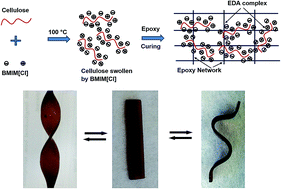 Graphical abstract: Thermally flexible epoxy/cellulose blends mediated by an ionic liquid