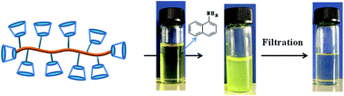 Graphical abstract: High grafting density of cyclodextrin polymer for fast removal of aromatic compounds from water