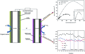 Graphical abstract: Catalytic and filterable polyester-filter membrane electrode with a high performance carbon foam–Fe–Co catalyst improved electricity generation and waste-water treatment in MBR–MFC