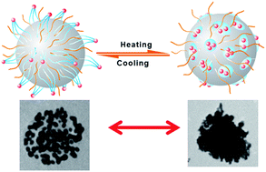 Graphical abstract: Thermosensitive mixed shell polymeric micelles decorated with gold nanoparticles at the outmost surface: tunable surface plasmon resonance and enhanced catalytic properties with excellent colloidal stability