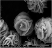 Graphical abstract: Synthesis of MoO2 hierarchical peony-like microspheres without a template and their application in lithium ion batteries