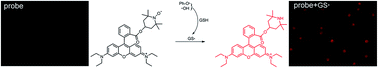 Graphical abstract: The antioxidant mechanism of nitroxide TEMPO: scavenging with glutathionyl radicals