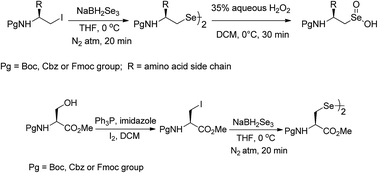 Graphical abstract: Synthesis of chiral Nβ-protected amino diselenides from the corresponding amino alkyl iodides using NaBH2Se3 as a selenating reagent and their conversion to seleninic acids