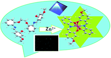 Graphical abstract: An efficient vanillinyl Schiff base as a turn on fluorescent probe for zinc(ii) and cell imaging