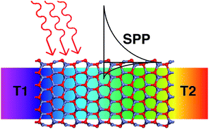 Graphical abstract: Unconventional co-existence of plasmon and thermoelectric activity in In:ZnO nanowires