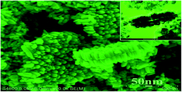 Graphical abstract: ZnO nanoplates assembled by rod-like nanoparticles: simple reflux synthesis, influential factors and shape evolution towards nanorings