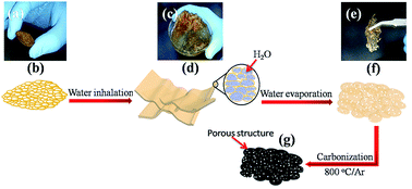 Graphical abstract: Graphitized porous carbon prepared from pyrolysis of Sterculia scaphigera and its application in lithium ion batteries