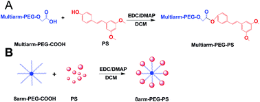 Graphical abstract: Design, synthesis and in vivo antitumor efficacy of novel eight-arm-polyethylene glycol–pterostilbene prodrugs