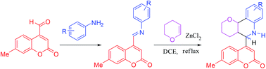 Graphical abstract: Regiospecific inverse electron demand Diels–Alder reactions of 7-methylcoumarin-4-azadienes