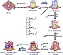 Graphical abstract: Fabrication and modeling of an ultrasensitive label free impedimetric immunosensor for Aflatoxin B1 based on poly(o-phenylenediamine) modified gold 3D nano electrode ensembles