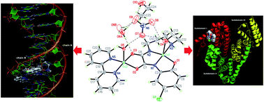 Graphical abstract: Synthesis and structure of new dicopper(ii) complexes bridged by asymmetric N,N′-bis(substituted)oxamides: in vitro anticancer activity and molecular docking studies based on bio-macromolecular interaction