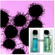 Graphical abstract: Hierarchical Fe3O4@titanate microspheres with superior removal capability for water treatment: in situ growth and structure tailoring via hydrothermal assisted etching