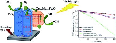 Graphical abstract: Synthesis of novel Zn0.5Mg0.5Fe2O4@TiO2 nanotube arrays with enhanced photoelectrocatalytic properties