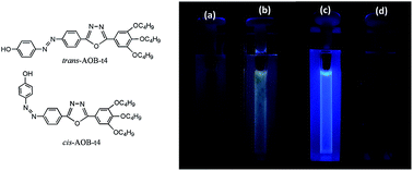 Graphical abstract: Photoresponsive structure transformation and emission enhancement based on a tapered azobenzene gelator