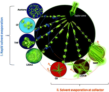 Graphical abstract: Design and morphology control of a thiophene derivative through electrospraying using various solvents