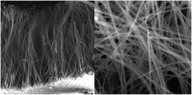 Graphical abstract: Fabrication and characterization of high efficiency and stable Ag3PO4/TiO2 nanowire array heterostructure photoelectrodes for the degradation of methyl orange under visible light irradiation