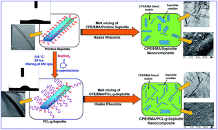 Graphical abstract: Chlorinated polyethylene (CPE)/ethylene methacrylate copolymer (EMA)/sepiolite nanocomposite via a facile one-step covalent modification technique