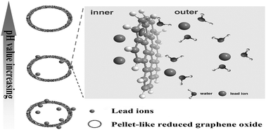 Graphical abstract: Unique lead adsorption behavior of ions sieves in pellet-like reduced graphene oxide