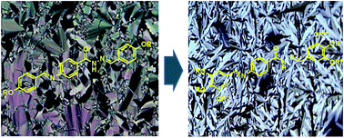 Graphical abstract: Tuning the thermotropic properties of liquid crystalline p-substituted aroylhydrazones