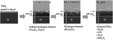 Graphical abstract: Preparation of a titanium metal electrode with a nitrogen-doped one-dimensional titanium oxide surface layer for the support of catalysts