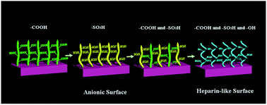 Graphical abstract: Bionic design for anticoagulant surface via synthesized biological macromolecules with heparin-like chains