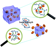 Graphical abstract: Click synthesis of ionic strength-responsive polyphosphazene hydrogel for reversible binding of enzymes