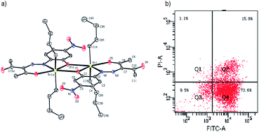 Graphical abstract: Dimeric diorganotin(iv) complexes with arylhydrazones of β-diketones: synthesis, structures, cytotoxicity and apoptosis properties