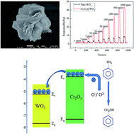 Graphical abstract: The preparation of Cr2O3@WO3 hierarchical nanostructures and their application in the detection of volatile organic compounds (VOCs)